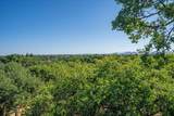 21350 Wilcox Road - Photo 57
