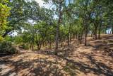 21350 Wilcox Road - Photo 60