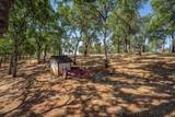 21350 Wilcox Road - Photo 61