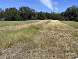 18525 Farquhar Road - Photo 33