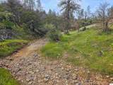 15510 Diamond Star Road - Photo 37
