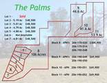 Lot 7 Palm Avenue - Photo 2