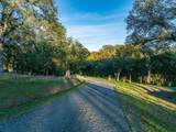 14815 Molluc Drive - Photo 31