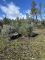 10266 White Star Dr - Photo 4