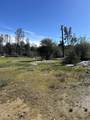 10266 White Star Dr - Photo 7