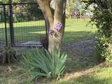 4371 County Rd H - Photo 21