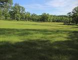 0000 Aoudad Drive - Photo 12