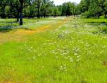 0000 Aoudad Drive - Photo 22