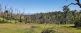 15687 Stagecoach Road - Photo 13
