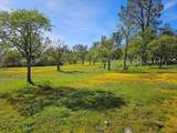 27655 Wildcat Road - Photo 10