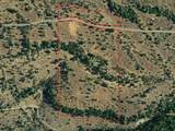 27655 Wildcat Road - Photo 20