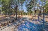 19375 Whippletree Road - Photo 35