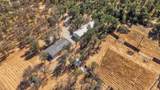 19375 Whippletree Road - Photo 39