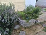 139 Casa Grande Drive - Photo 34
