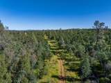 000 Old Happy Valley Road - Photo 13