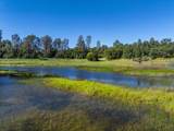 000 Old Happy Valley Road - Photo 14