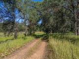 000 Old Happy Valley Road - Photo 18