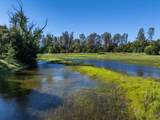 000 Old Happy Valley Road - Photo 6