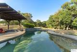 14865 Molluc Drive - Photo 43
