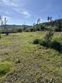 10266 White Star Dr - Photo 3