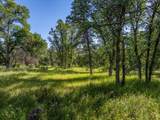 000 Old Happy Valley Road - Photo 22