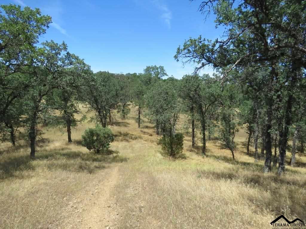 ZZXX Mccoy Road - Photo 1