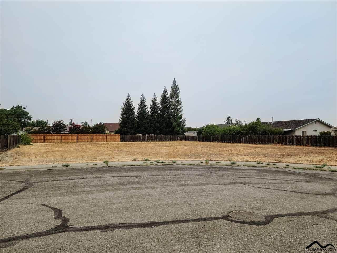 938 Kinder Circle - Photo 1