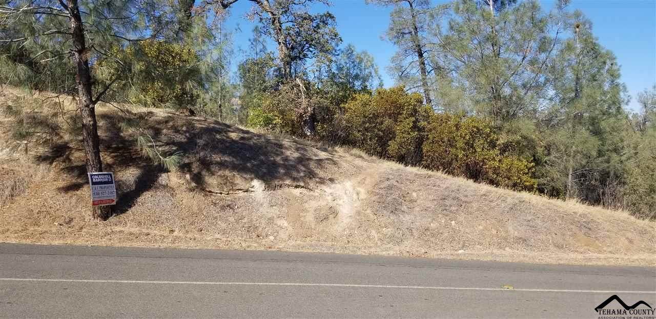 0000 Oakridge Road - Photo 1
