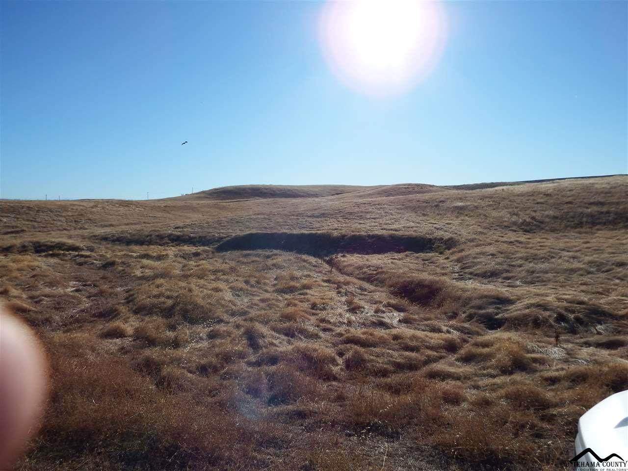 LOT 18 Deer Valley Road - Photo 1