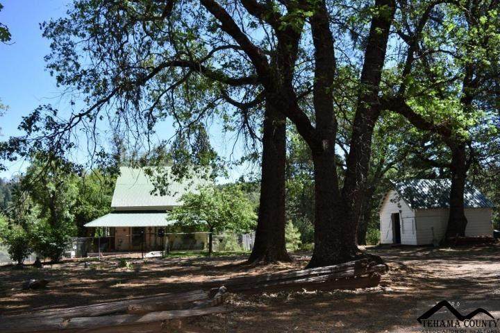 4417 Harrison Gulch - Photo 1