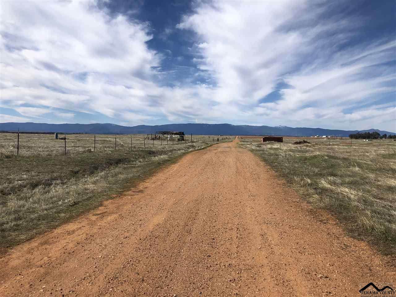 20215 No Name Road - Photo 1