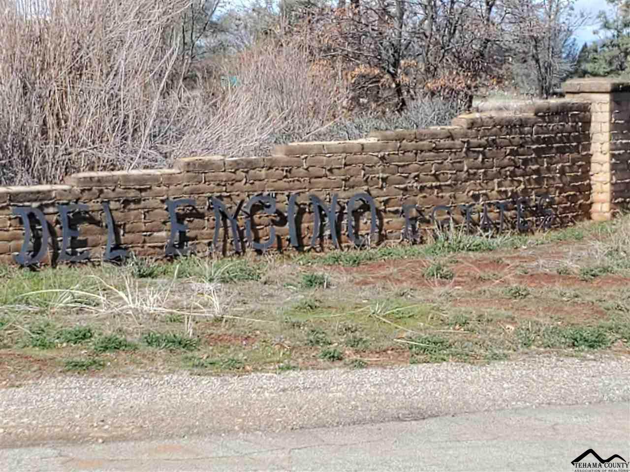 0 Camino Vista - Photo 1