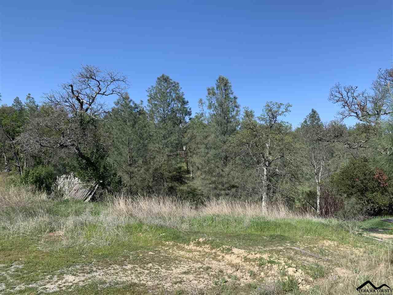 17150 Fawn Lane - Photo 1