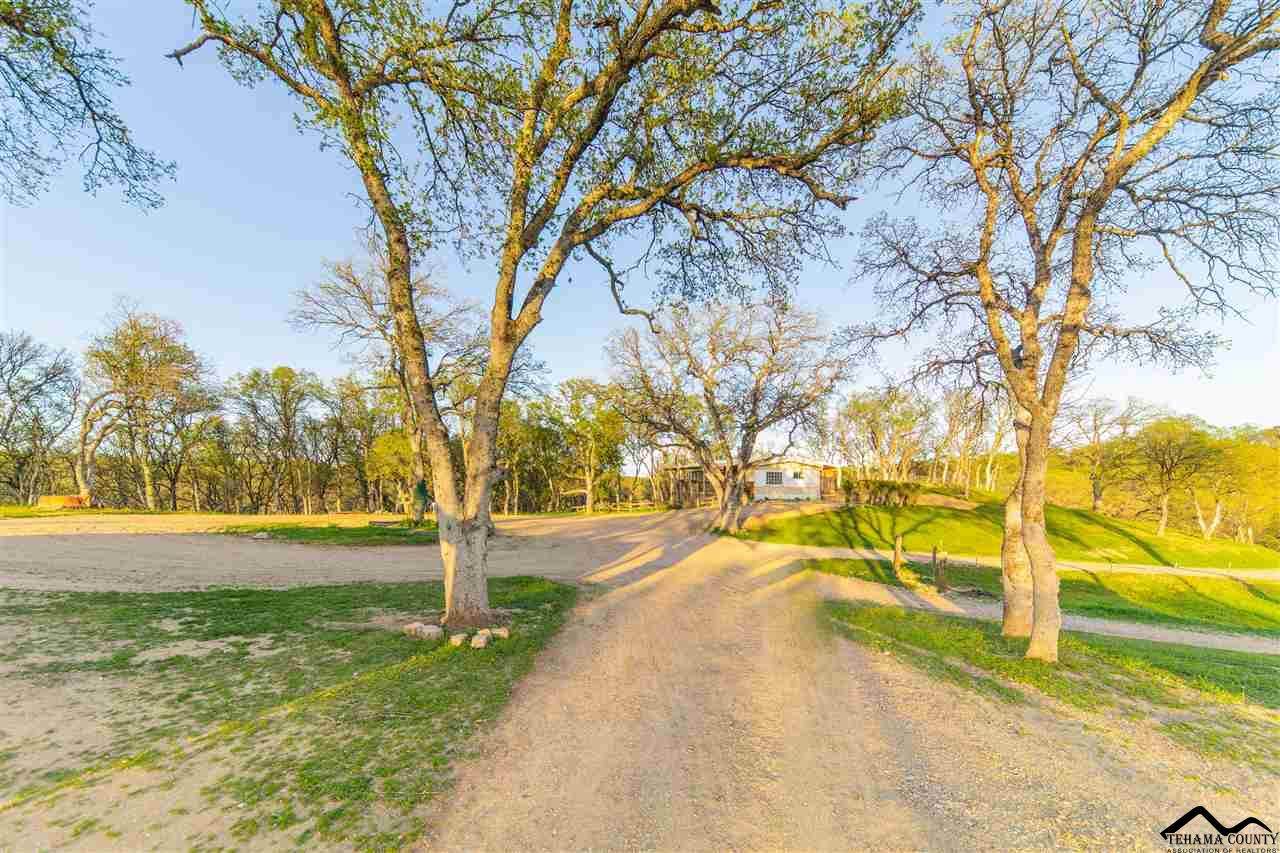 14339 Redtail Drive - Photo 1