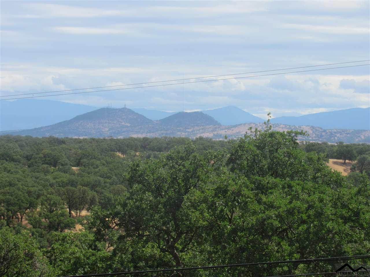 21300 Meadowgate Drive - Photo 1