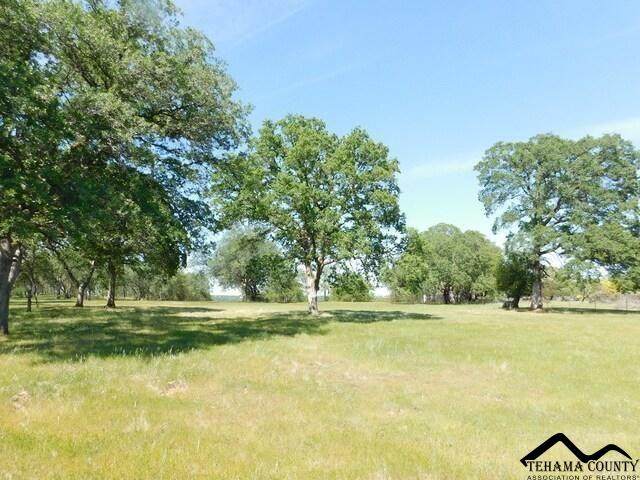 lot 12 Lazy Lane - Photo 1