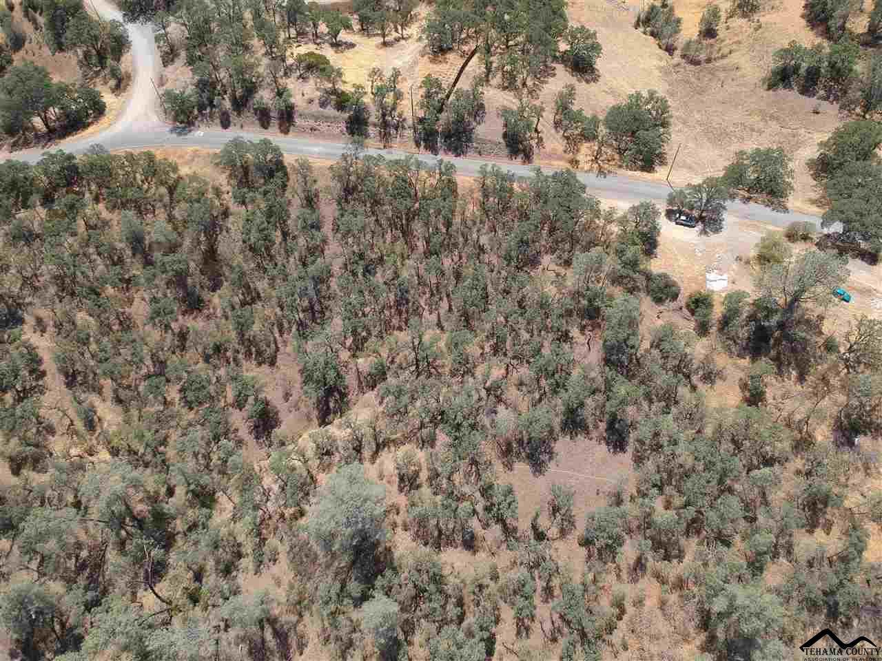 16490 Hillcrest Road - Photo 1