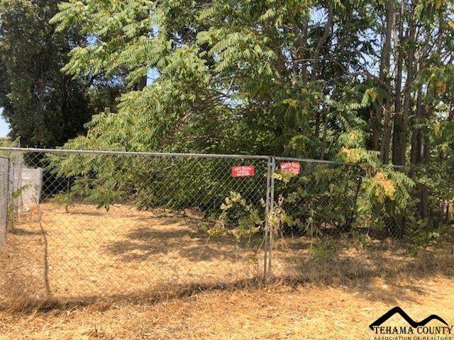 1038 Oak Street - Photo 1