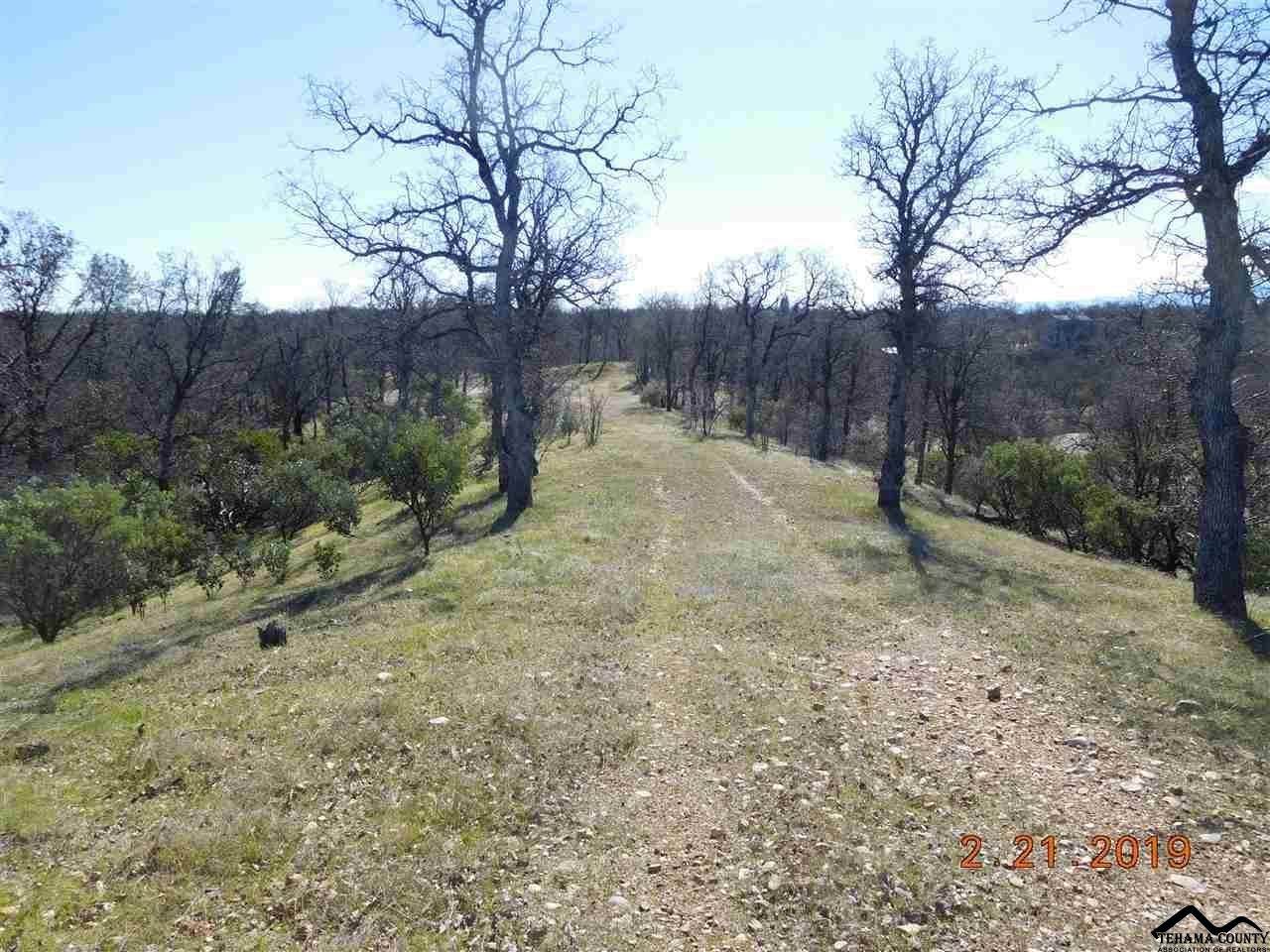 17125 Quail Ridge Road - Photo 1