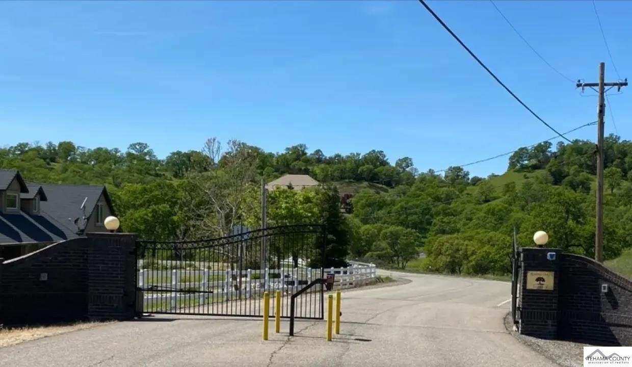 3.62 Acres Deer Crest Trail - Photo 1
