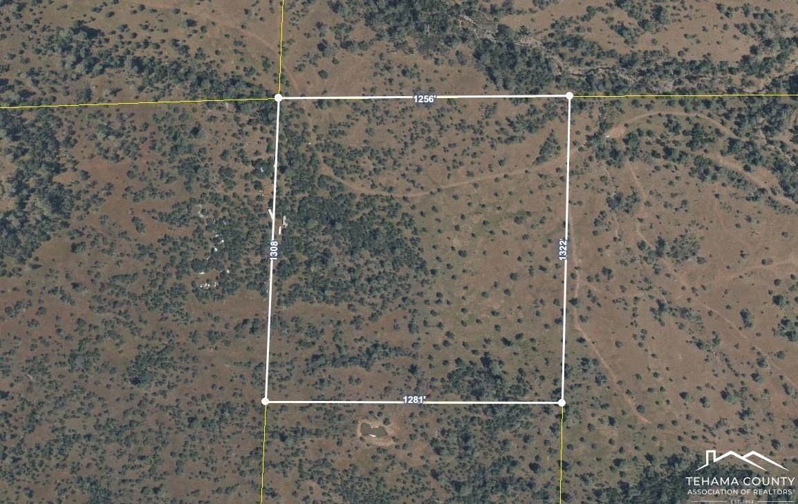 40 AC Ash Creek - Photo 1