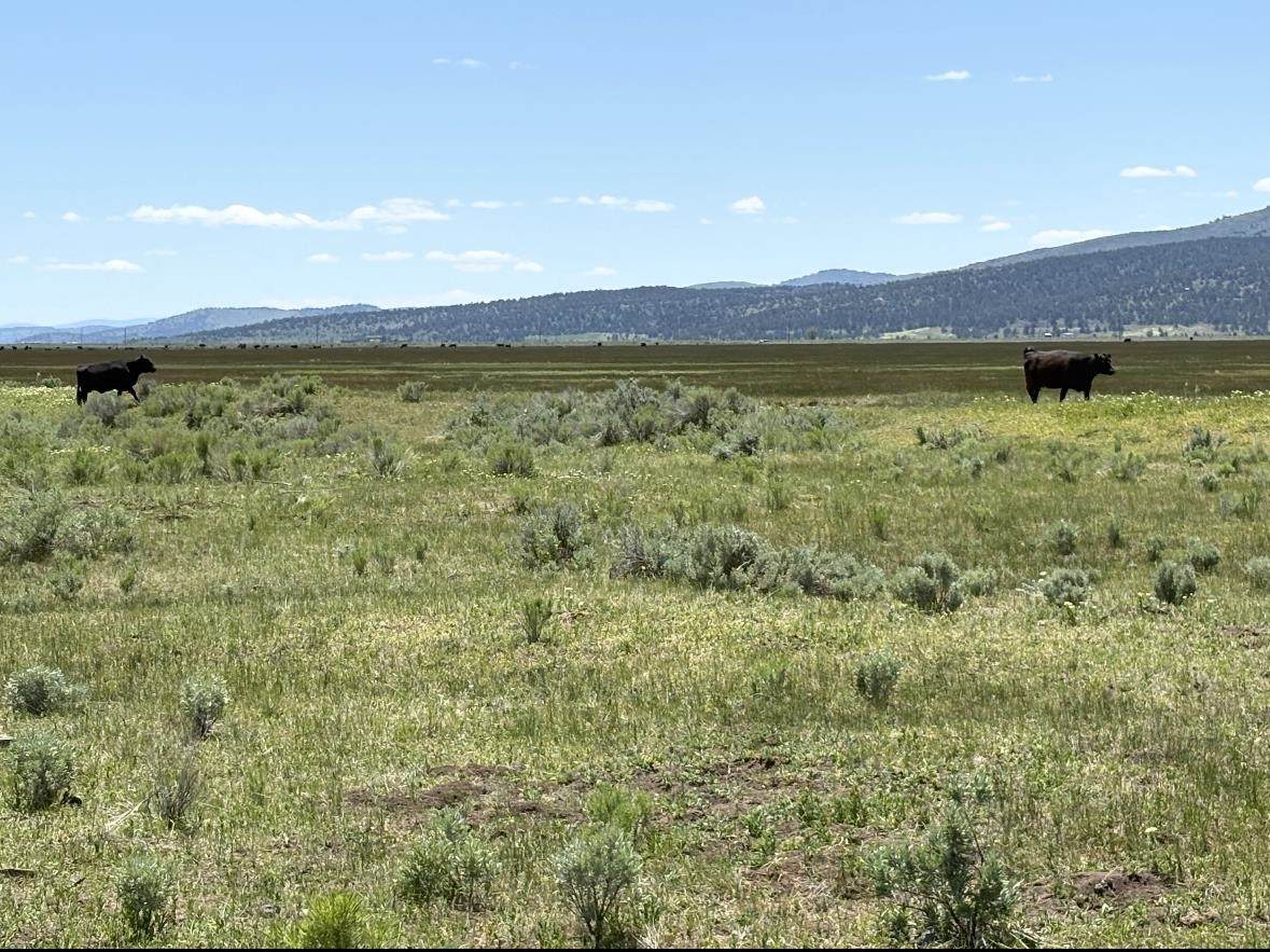 0 Widgen Drive - Photo 1