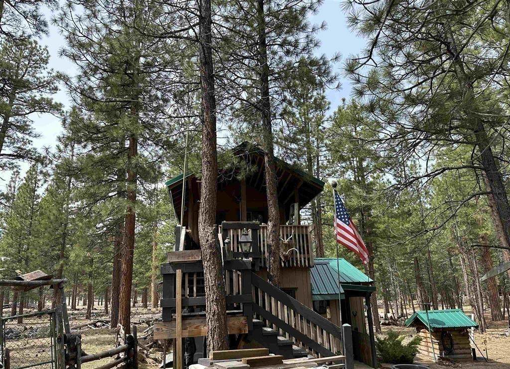 687-450 Magnolia Way - Photo 1