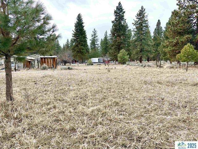 000 Chestnut Way - Photo 1