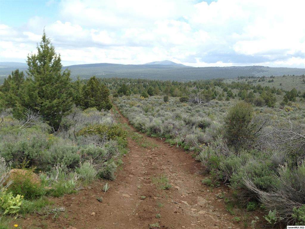 00 Lone Pine Trail - Photo 1