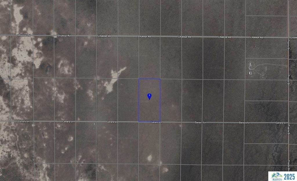 00 Canary Lane - Photo 1