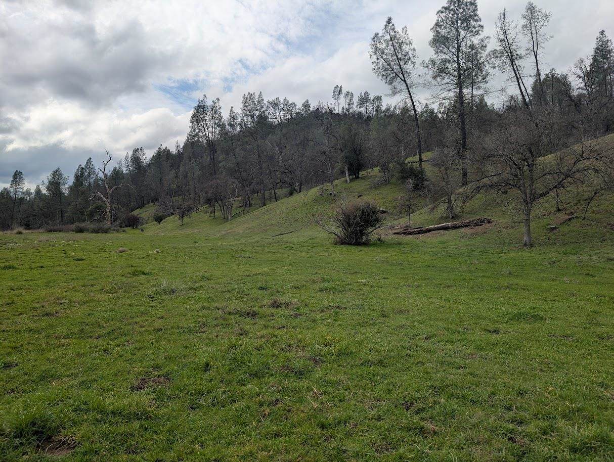 https://bt-photos.global.ssl.fastly.net/tehama/orig_boomver_1_20260210-2.jpg