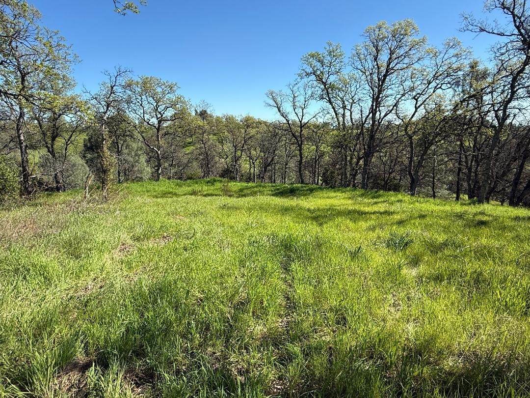 16438 Longhorn Lane - Photo 1