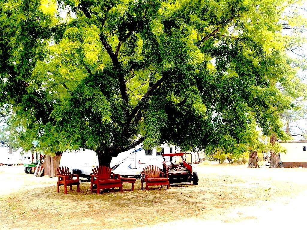 https://bt-photos.global.ssl.fastly.net/tehama/orig_boomver_1_20260316-2.jpg