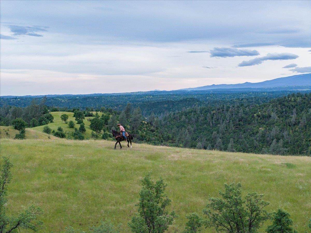 00 Highway 36 West - Photo 1